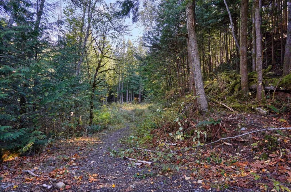 1017 COPPER DRIVE, Britannia Beach, BC — Land for Sale - Photo 2