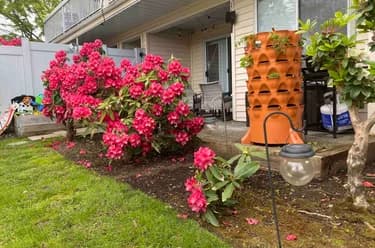 Condo for sale at 103 9299 121 Street Surrey British Columbia - MLS: R3099107