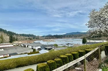 Manufactured Home for sale at 109 9950 Wilson Street Mission British Columbia - MLS: R3136992
