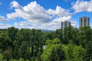 Condo for sale at 1108 9623 Manchester Drive Burnaby British Columbia - MLS: R3124163
