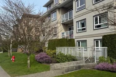Condo for sale at 111 8142 120a Street Surrey British Columbia - MLS: R3115701