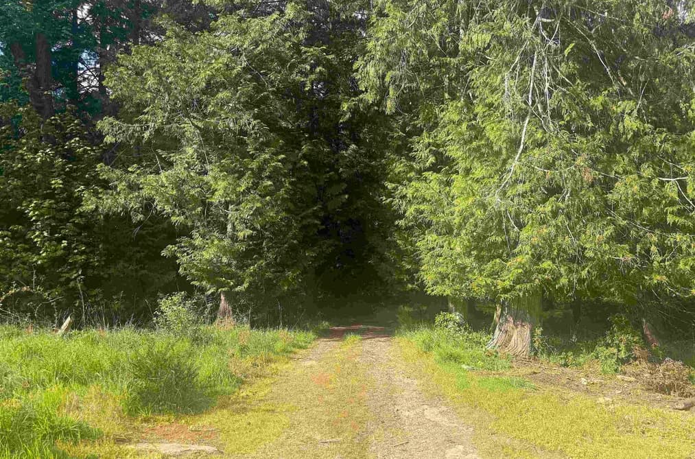 1114 BLUFF ROAD, Galiano Island, BC — Residential for Sale - Photo 2