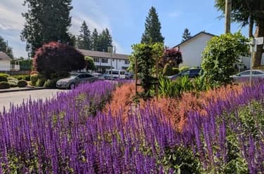 Townhouse for sale at 114 32880 Bevan Way Abbotsford British Columbia - MLS: R3130767