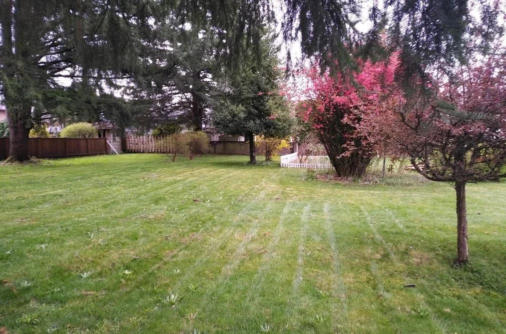 11726 203 STREET, Maple Ridge, BC — Residential for Sale - Photo 2
