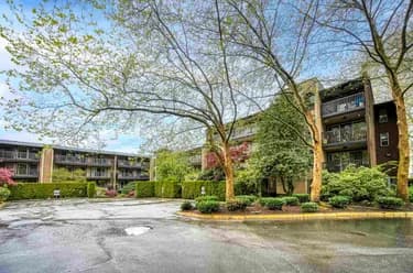 Condo for sale at 118 9847 Manchester Drive Burnaby British Columbia - MLS: R3130547