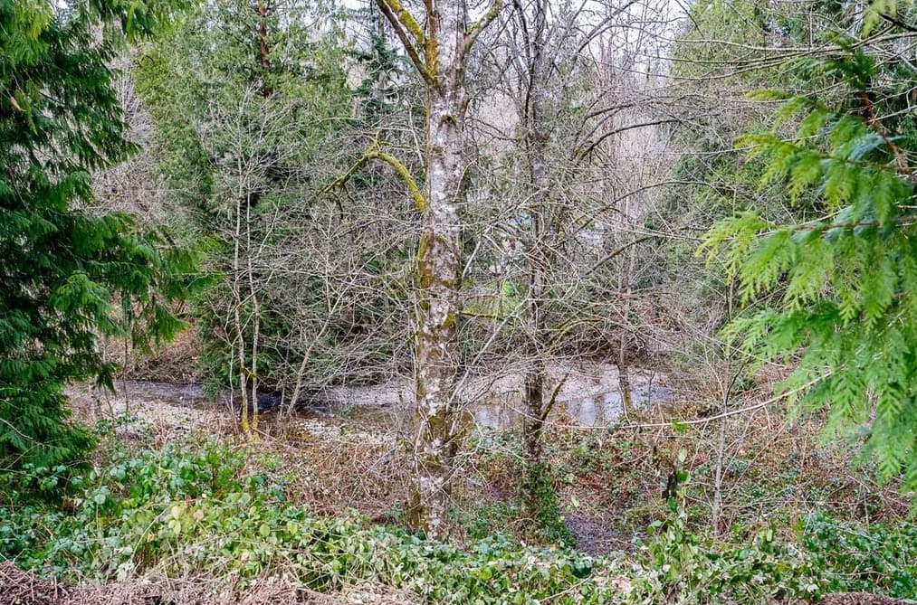 12041 256TH STREET STREET, Maple Ridge, BC — Land for Sale - Photo 2