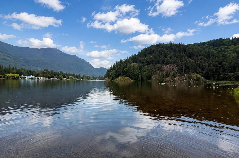 12050 HODGKIN ROAD, Mission, BC — Land for Sale - Main Photo