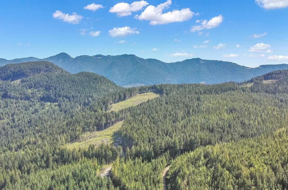 12053 CAMPBELL STREET, Mission, BC — Land for Sale - Main Photo