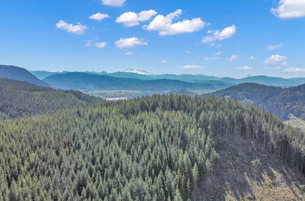12053 CAMPBELL STREET, Mission, BC — Land for Sale - Photo 2