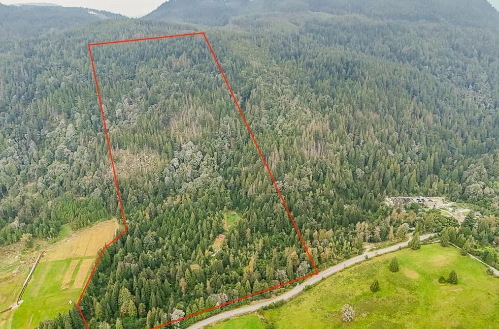 12181-12241 STAVE LAKE ROAD, Mission, BC — Land for Sale - Main Photo
