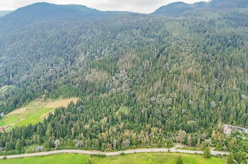 12181-12241 STAVE LAKE ROAD, Mission, BC — Land for Sale - Photo 2