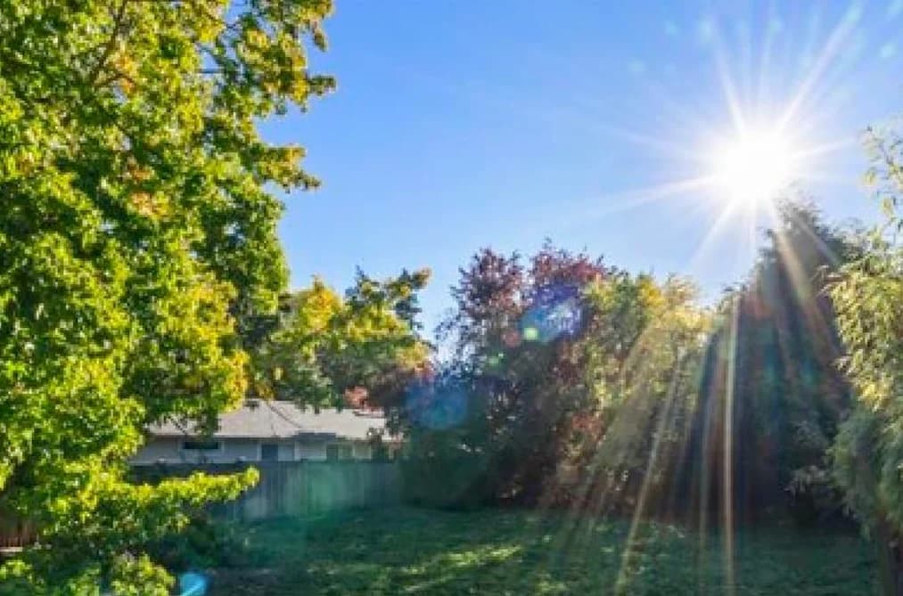 12276 AGAR STREET, Surrey, BC — Land for Sale - Photo 2