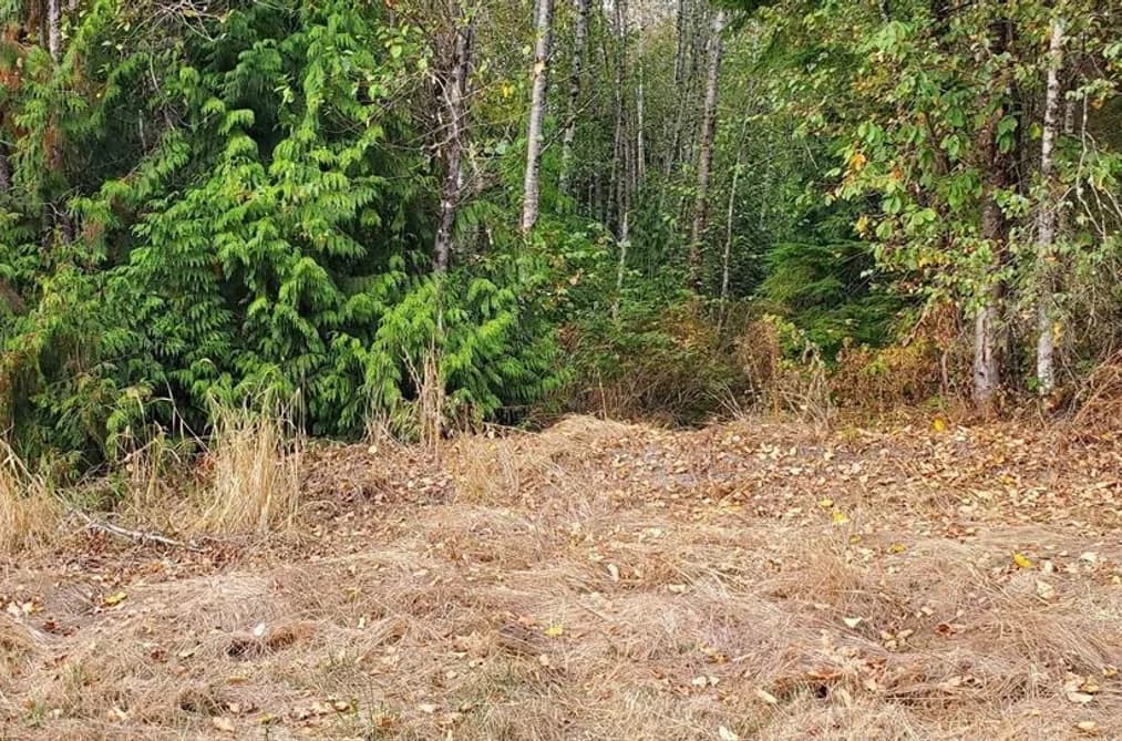 12350 270A STREET, Maple Ridge, BC — Land for Sale - Main Photo