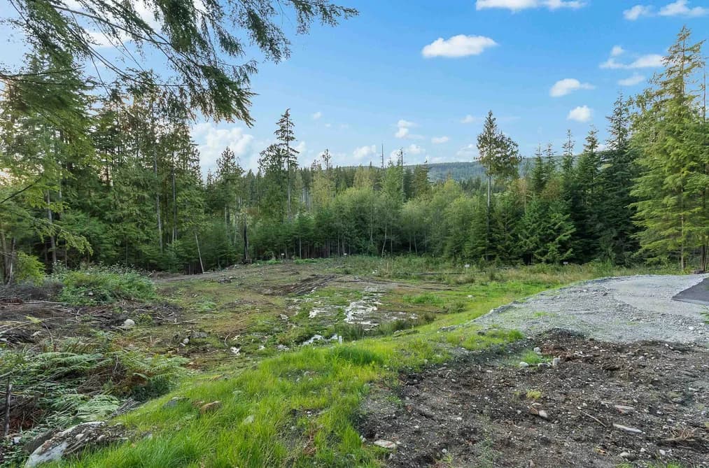 12685 CARR STREET, Mission, BC — Land for Sale - Photo 2
