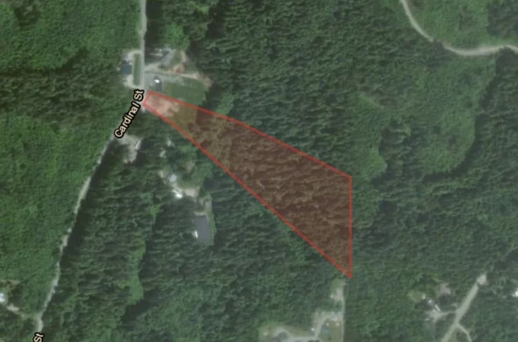 12767 CARDINAL STREET, Mission, BC — Land for Sale - Photo 2