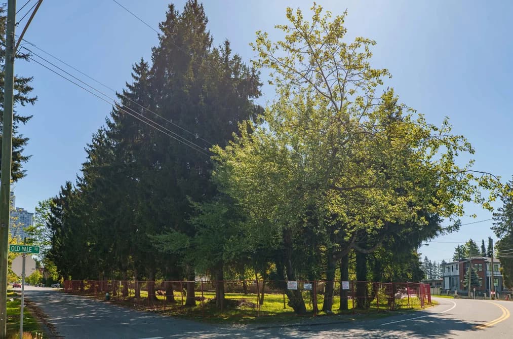 13003 OLD YALE ROAD, Surrey, BC — Land for Sale - Main Photo