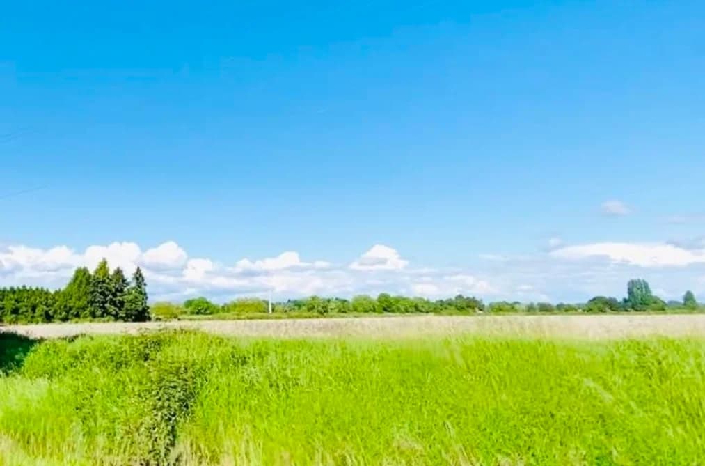 13091 NO. 3 ROAD, Richmond, BC — Land for Sale - Photo 2