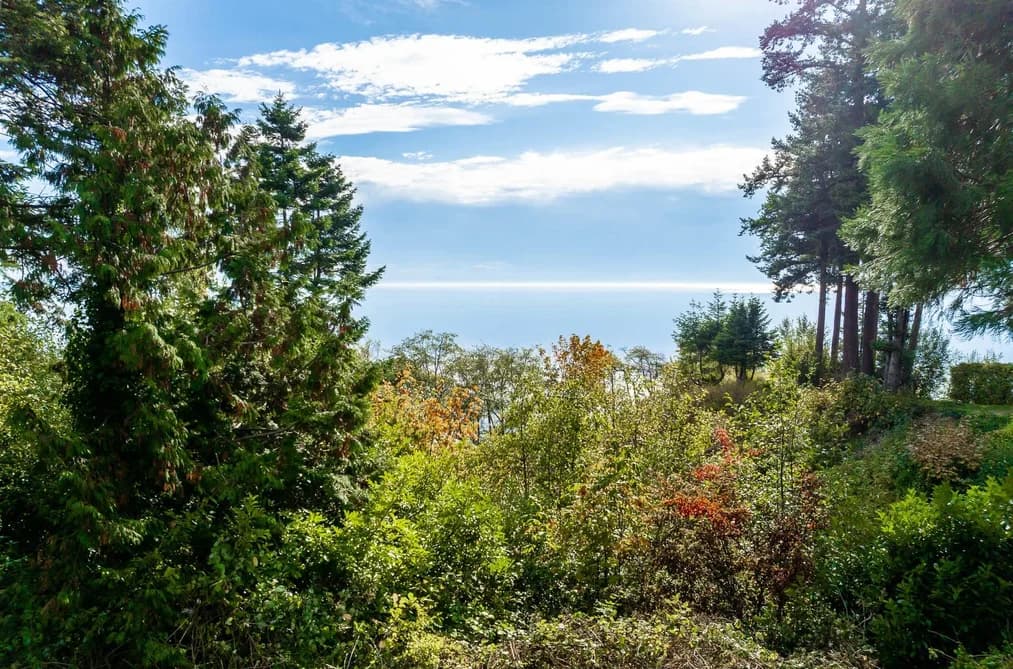 13536 13A AVENUE, Surrey, BC — Residential for Sale - Photo 2