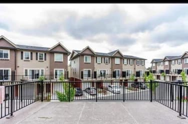 Townhouse for sale at 14 2530 Janzen Street Abbotsford British Columbia - MLS: R3149604