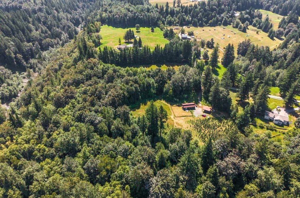 1420 JANOVICK ROAD, Columbia Valley, BC — Residential for Sale - Photo 2