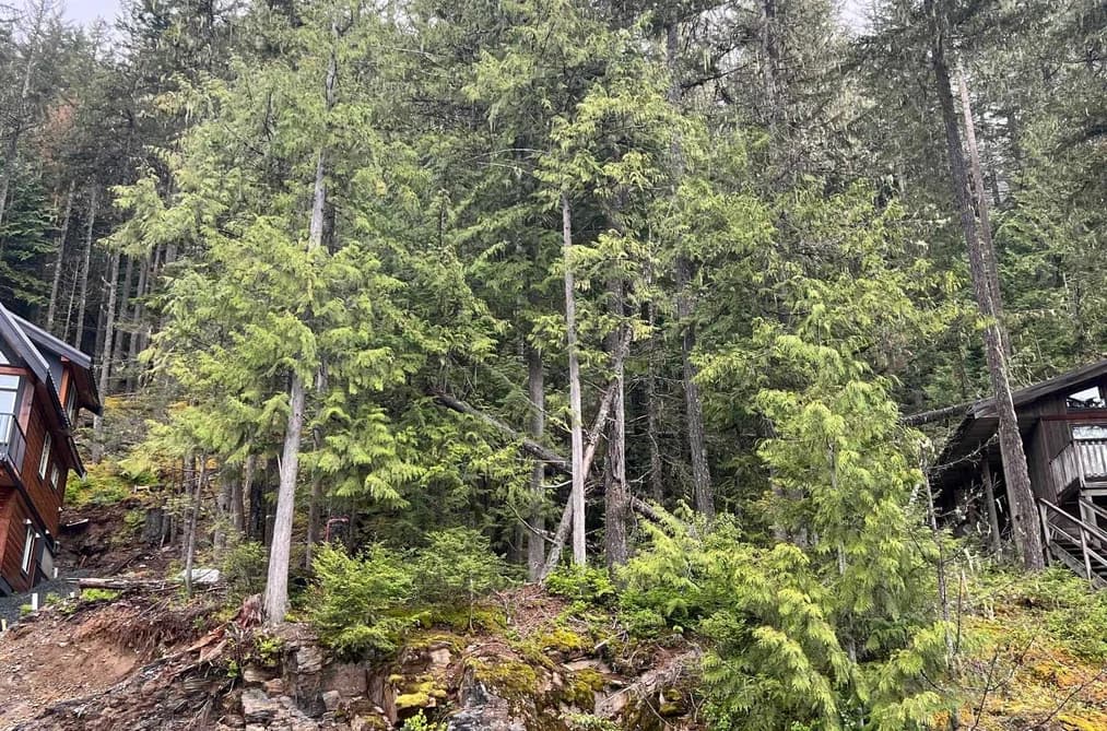 14701 PARKVIEW AVENUE, Sunshine Valley, BC — Land for Sale - Main Photo