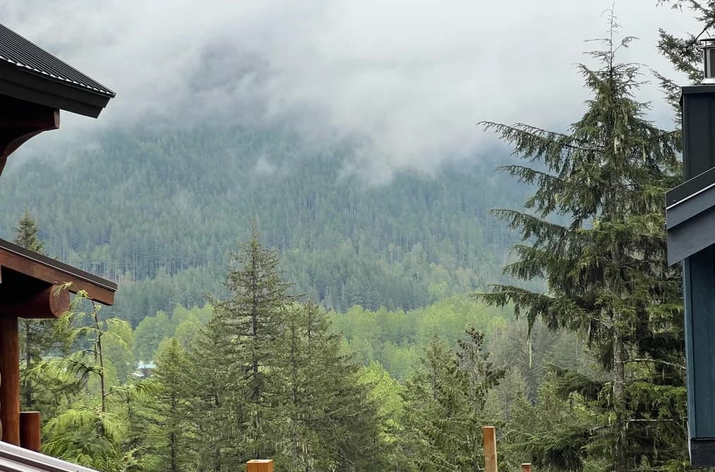 14701 PARKVIEW AVENUE, Sunshine Valley, BC — Land for Sale - Photo 2