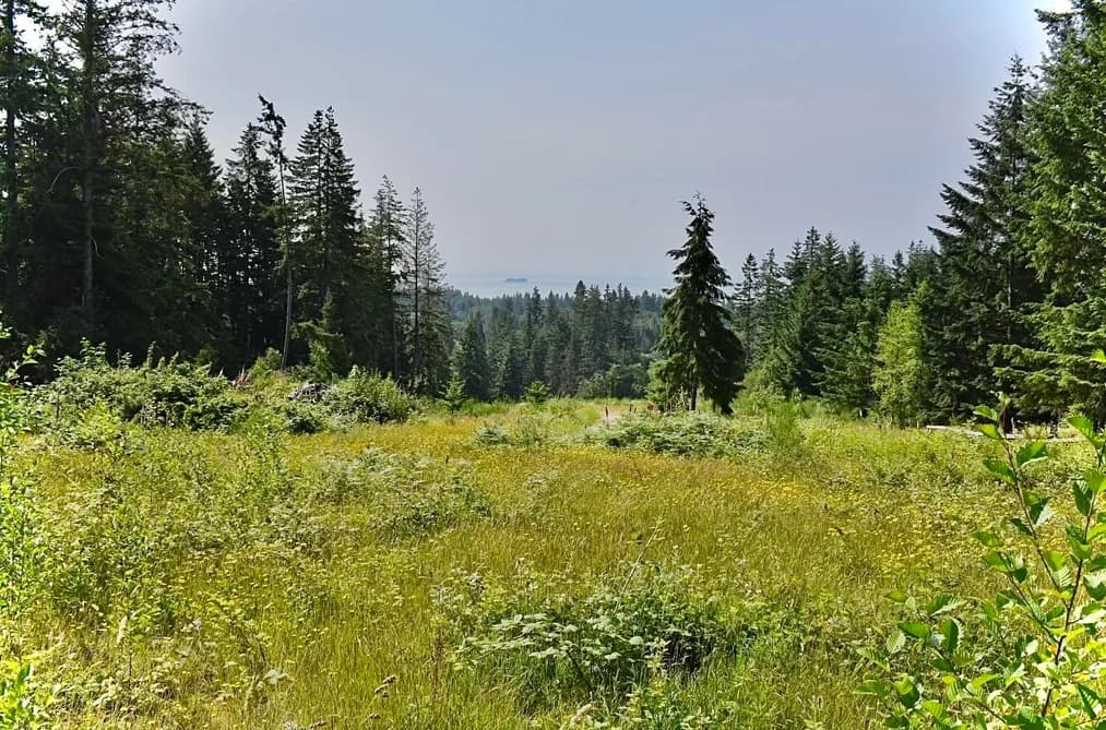 1491 REED ROAD, Gibsons, BC — Land for Sale - Photo 2