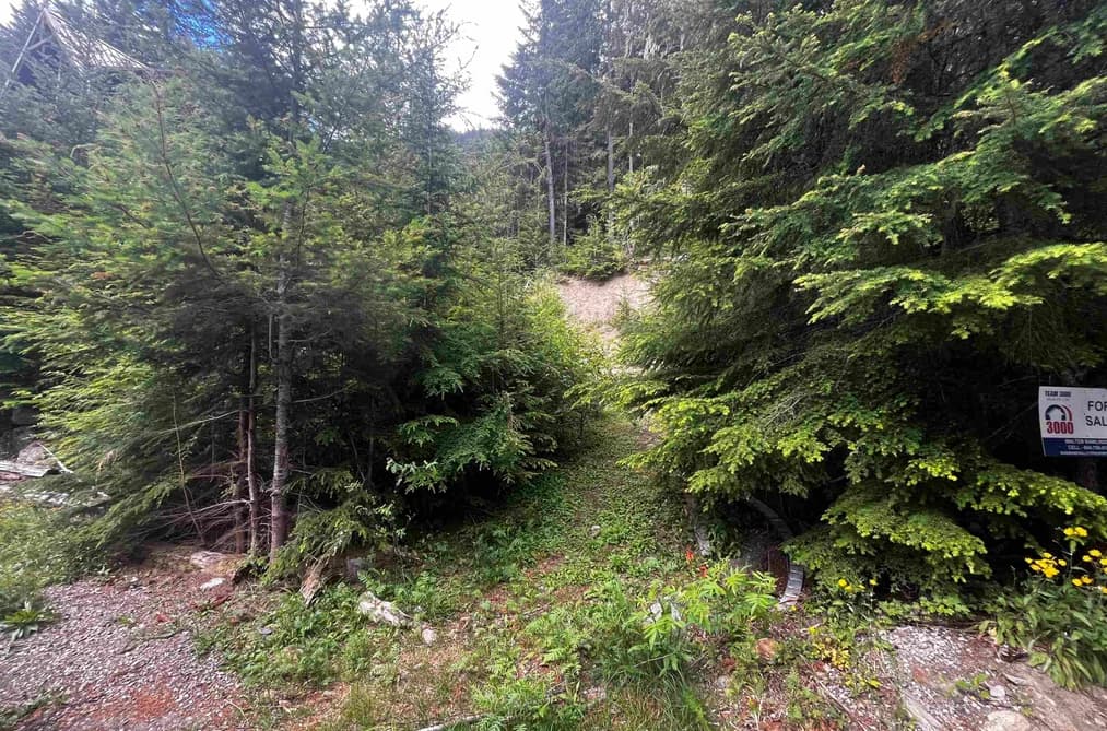 14953 PARKWOOD STREET, Sunshine Valley, BC — Land for Sale - Main Photo