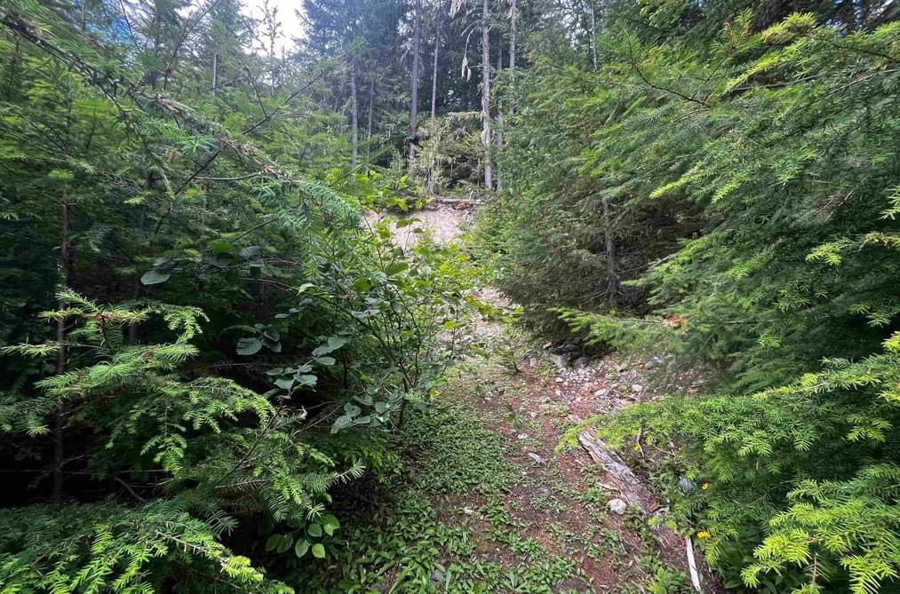 14953 PARKWOOD STREET, Sunshine Valley, BC — Land for Sale - Photo 2