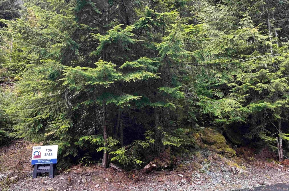 14963 PARKWOOD STREET, Sunshine Valley, BC — Land for Sale - Main Photo