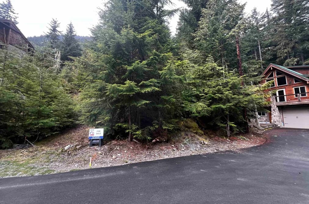 14963 PARKWOOD STREET, Sunshine Valley, BC — Land for Sale - Photo 2