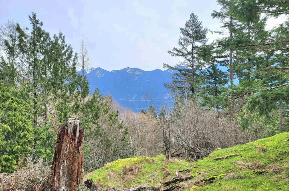 1562 EAGLECLIFF ROAD, Bowen Island, BC — Land for Sale - Main Photo