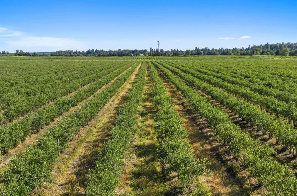 15683 64 AVENUE, Surrey, BC — Land for Sale - Main Photo