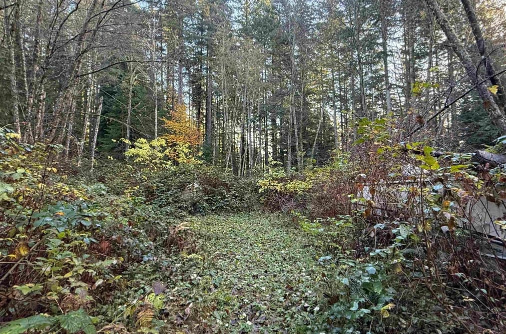 1594 CEMETERY ROAD, Gibsons, BC — Land for Sale - Main Photo