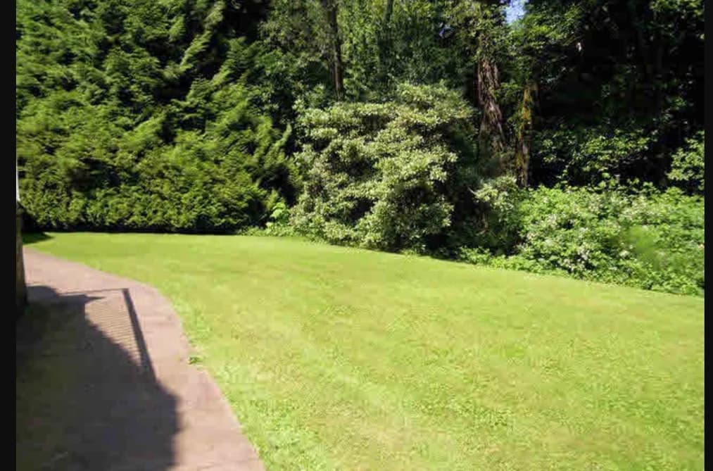 17293 4 AVENUE, Surrey, BC — Residential for Sale - Photo 2