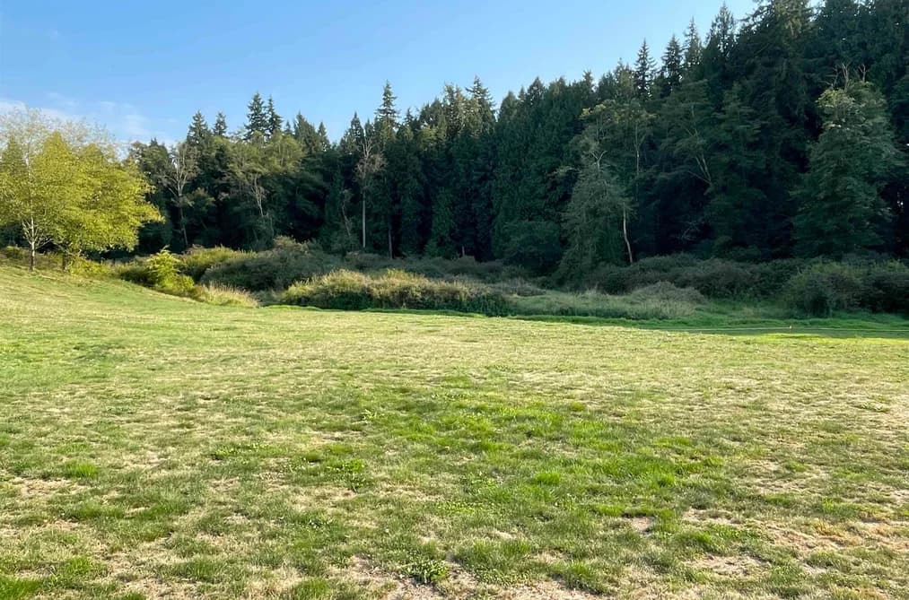 17384 8 AVENUE, Surrey, BC — Land for Sale - Main Photo