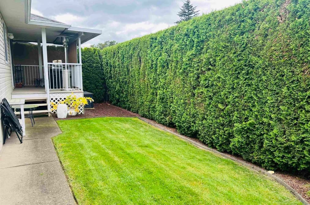 18 7292 ELM ROAD, Agassiz, BC — Residential for Sale - Photo 2