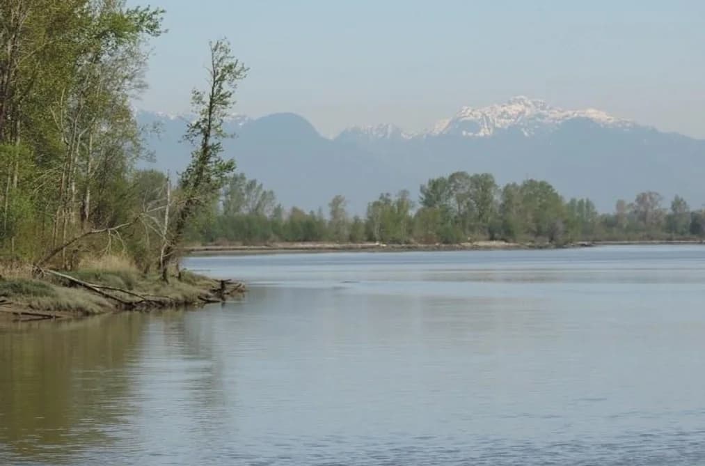 1FH 4515 W RIVER ROAD, Delta, BC — Residential for Sale - Main Photo