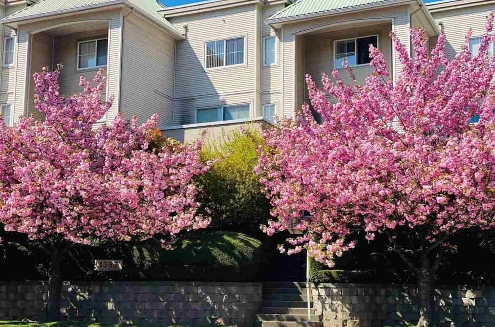 2 1383 BRUNETTE AVENUE, Coquitlam, BC — Residential for Sale - Main Photo