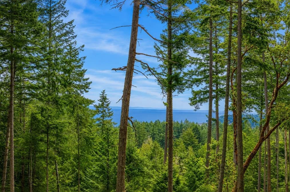 2-861 BLUFF ROAD, Galiano Island, BC — Land for Sale - Main Photo