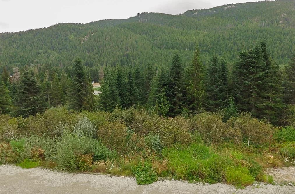 20478 EDELWEISS DRIVE, Mission, BC — Land for Sale - Photo 2