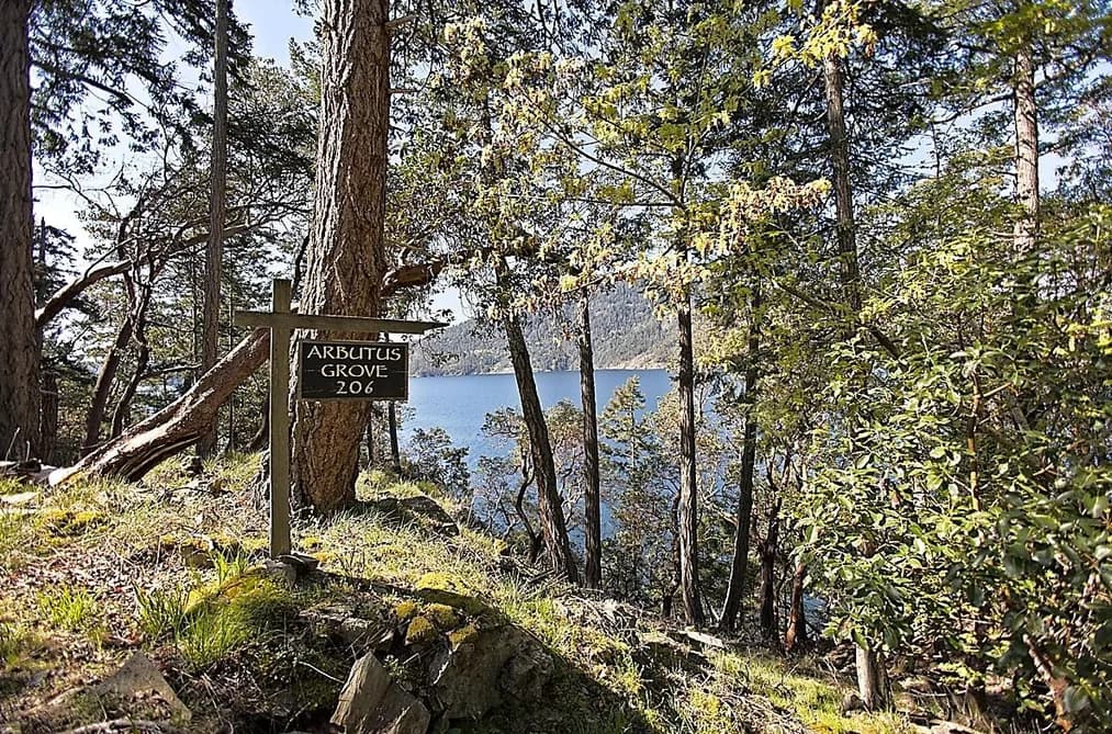 206 NARROWS WEST ROAD, Salt Spring Island, BC — Land for Sale - Photo 2
