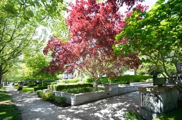 Condo for sale at 225 5777 Birney Avenue Vancouver British Columbia - MLS: R3142138
