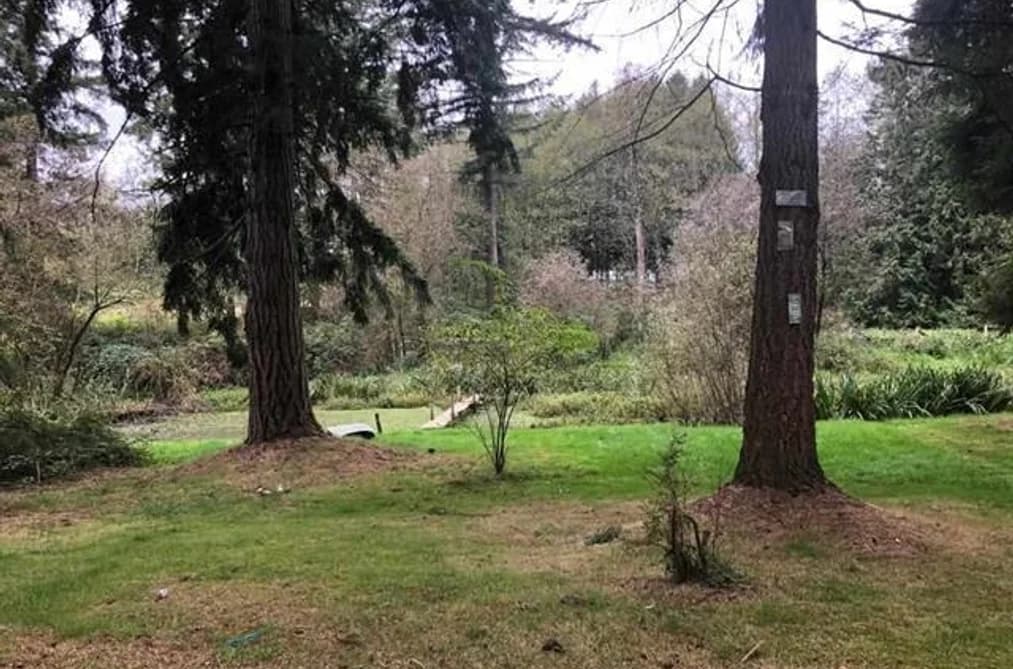 23317 16 AVENUE, Langley, BC — Land for Sale - Photo 2