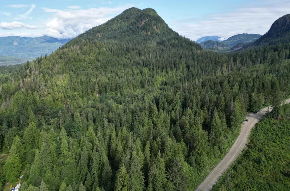 241AC SYLVESTER ROAD, Mission, BC — Land for Sale - Main Photo