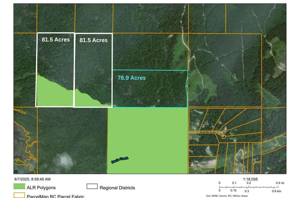 241AC SYLVESTER ROAD, Mission, BC — Land for Sale - Photo 2