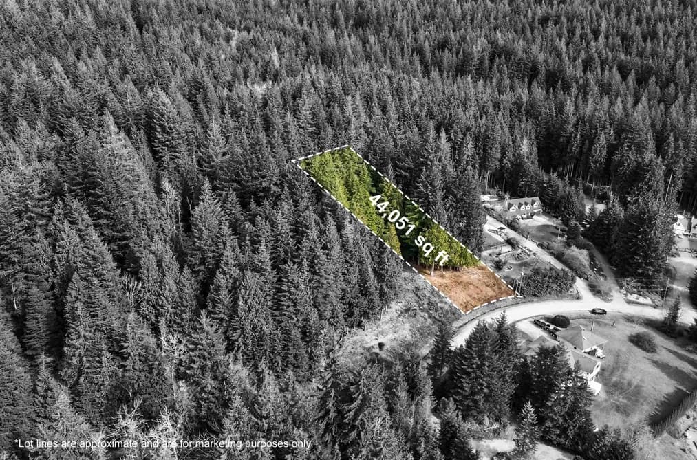 27641 128 AVENUE, Maple Ridge, BC — Land for Sale - Photo 2