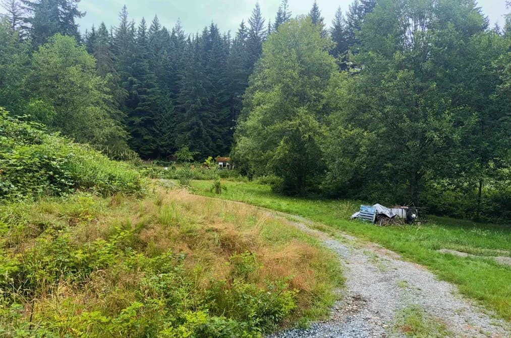 29403 DEWDNEY TRUNK ROAD, Mission, BC — Land for Sale - Photo 2