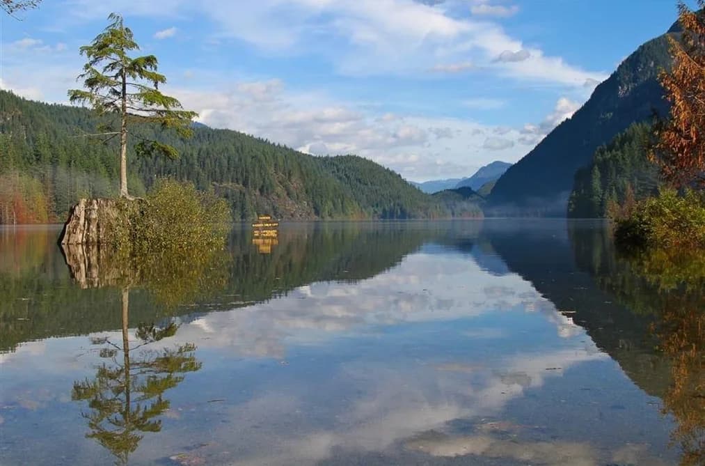 2982 SUNNYSIDE ROAD, Anmore, BC — Land for Sale - Photo 2
