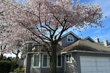 Townhouse for sale at 30 9731 Capella Drive Richmond British Columbia - MLS: R3139477